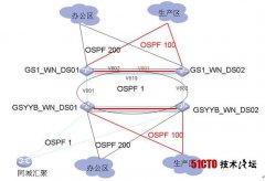 多进程OSPF发布LSA形成路由环路的规避办法