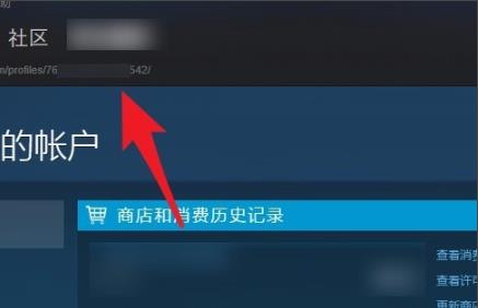 steam17位id查看方法